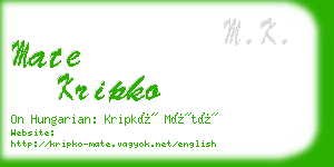 mate kripko business card